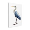 Trademark Fine Art Grace Popp 'Seabird Heron I' Canvas Art, 22x32 WAG07088-C2232GG
